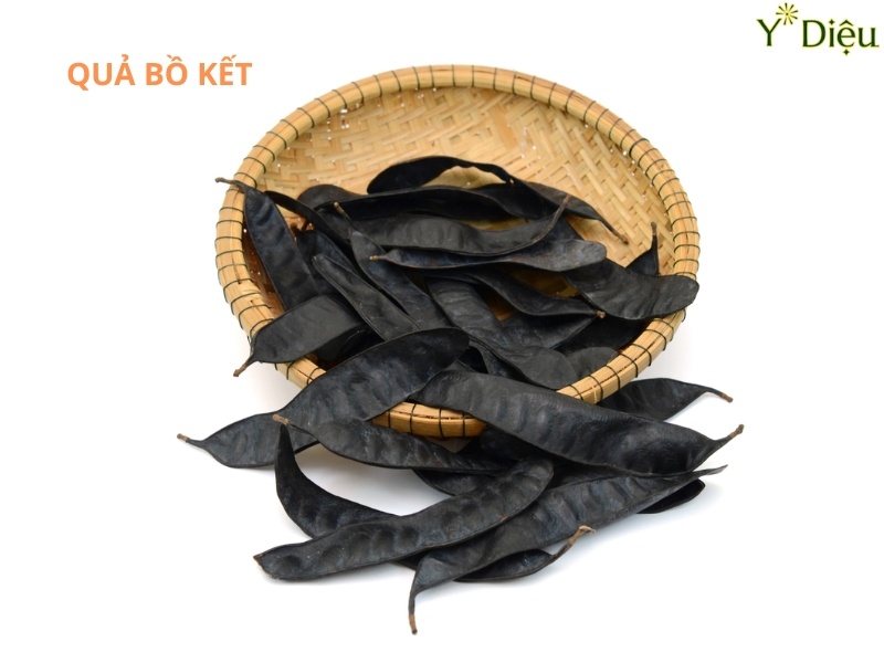 Dầu Gội Organic Cho Mái Tóc Óng Mượt Và Khỏe Mạnh Tự Nhiên
